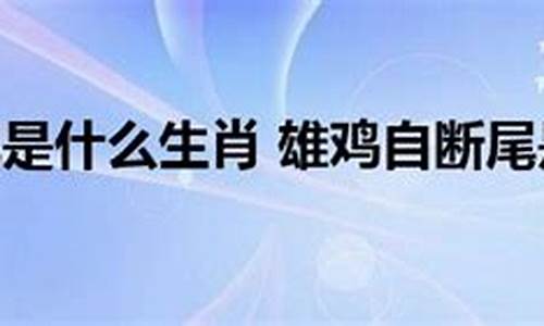 雄鸡断尾是什么动物-雄鸡断尾打一肖