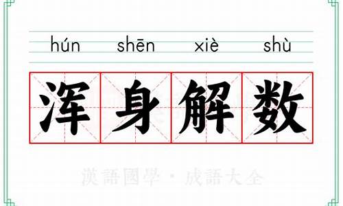 浑身解数的意思是什么意思啊-浑身解数的意