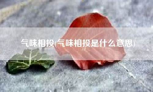 气味相投是什么意思-气味相投是指什么生肖