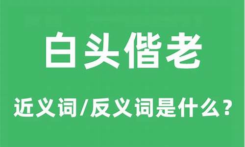 白头偕老的意思是什么-白头偕老什么意思啊